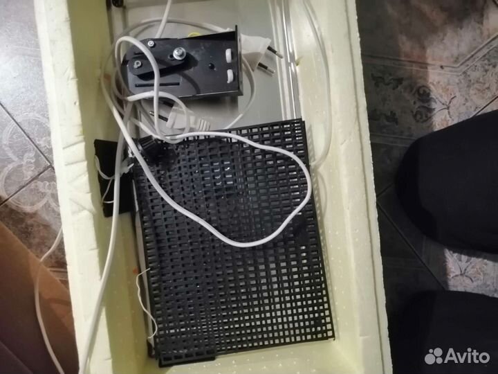 Инкубатор для яиц автоматический бу