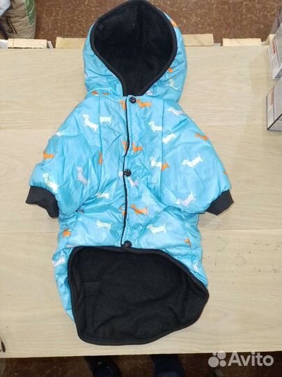 Одежда для собак