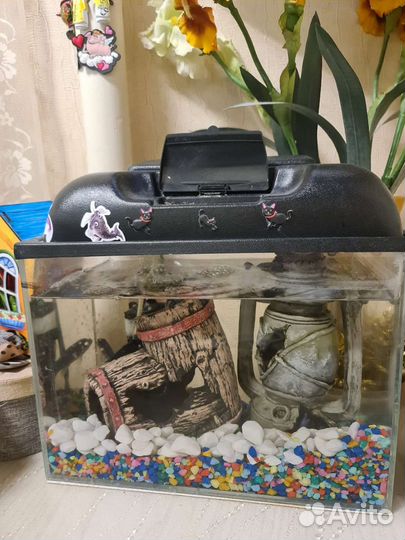 Аквариум