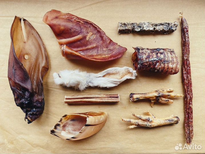 Лакомства для собак