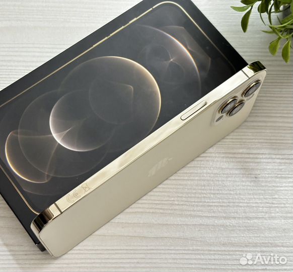 iPhone 12 Pro Max, 256 ГБ