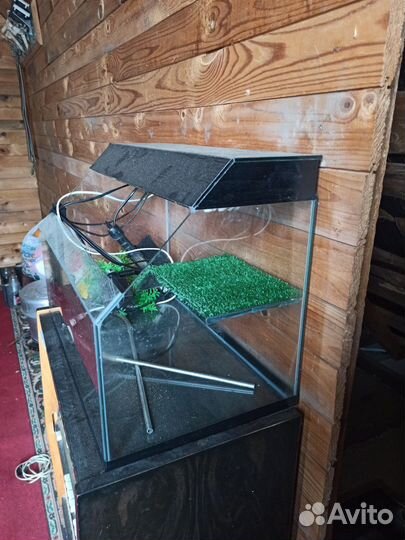 Аквариум 20 л + фильтр и термолегулятор