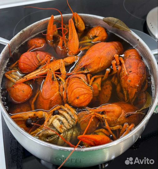 Живые Раки морепродукты