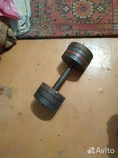 Гантеля 10 кг