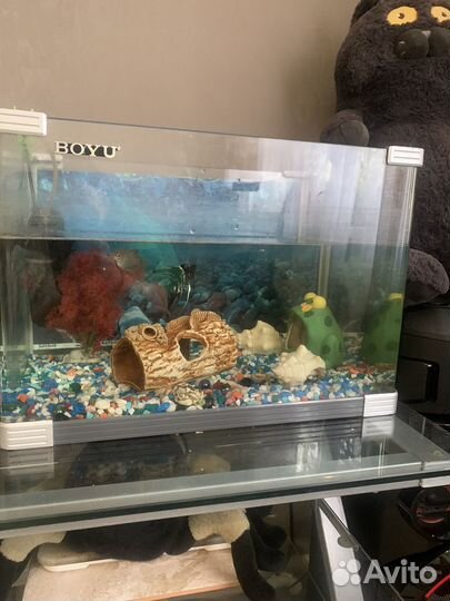 Аквариум