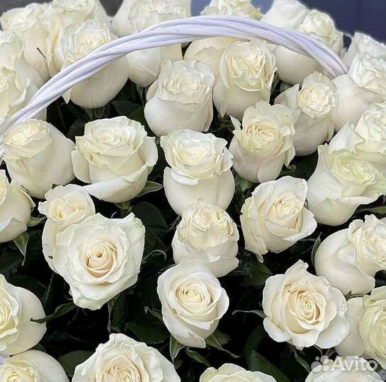 Высокие розы Букеты с доставкой