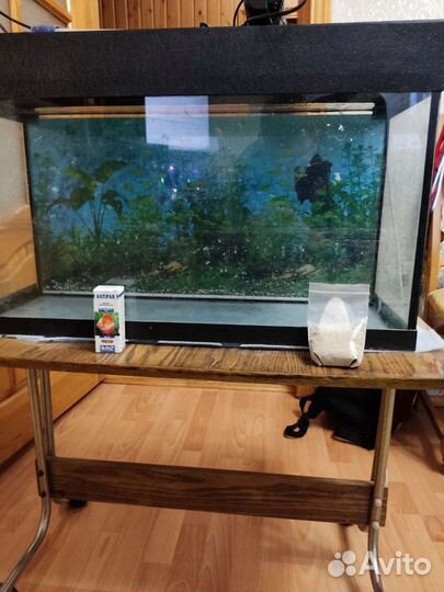 Аквариум