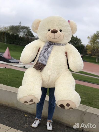 Плюшевые мишки