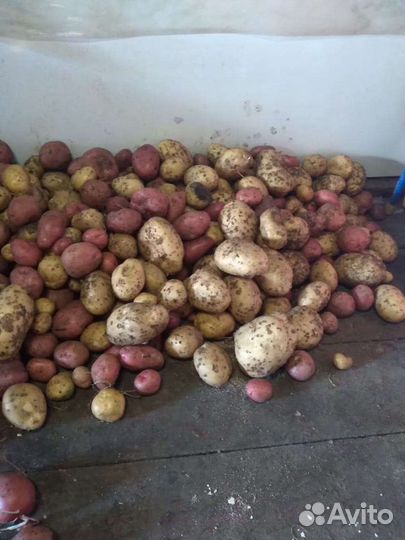 Для с/х животных, пищевые отходы