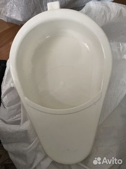 Утка медицинская