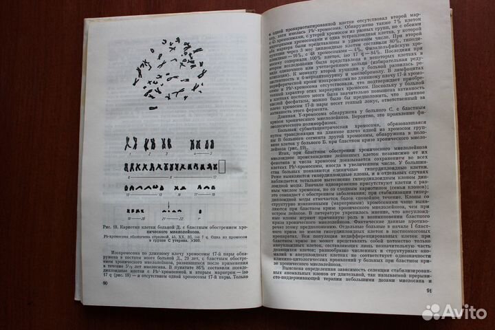 Цитологические аспекты заболеваний системы крови