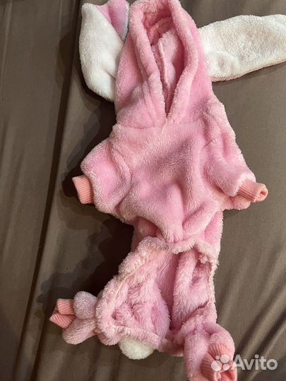 Одежда для собак