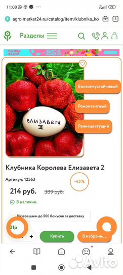 Рассада клубники Альбион, Елизавета 2, Гирлянда