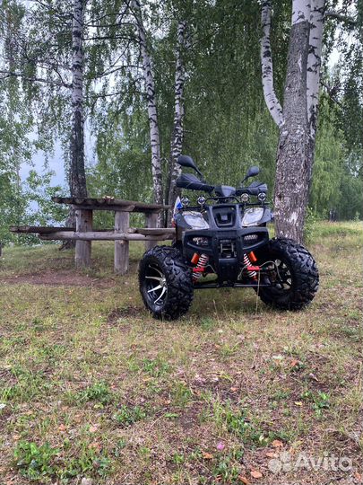 Grizzly ATV 250cc