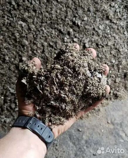 Жмых подсолнечный, Шрот соевый