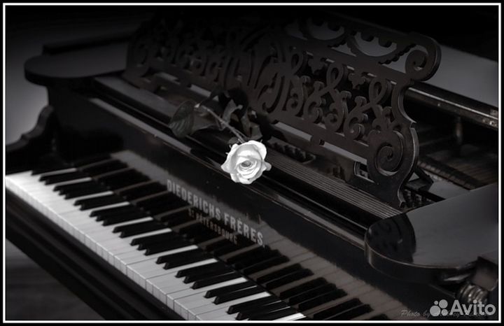 Ремонт и настройка музыкальных инструментов