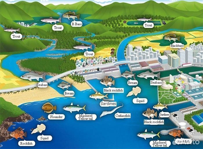 Daiwa mobile pack 646TUL