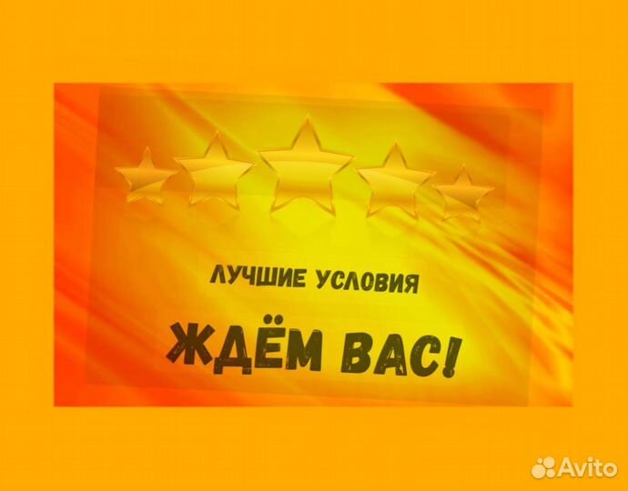 Сортировщик Еженедельный аванс Спецодежда М/Ж