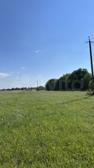 Участок 5,4 га (ИЖС)