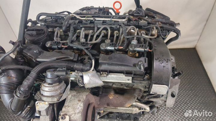 Двигатель Volkswagen Caddy cayd 1.6 Дизель, 2011