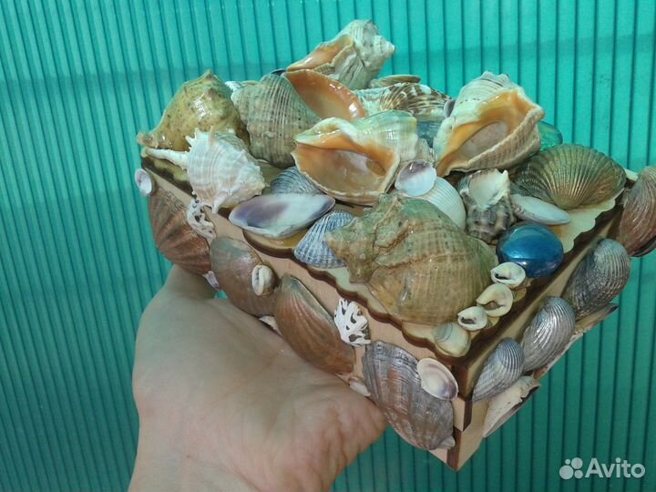 Новая шкатулка в ракушках