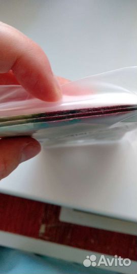 Мимоза Стыдливая