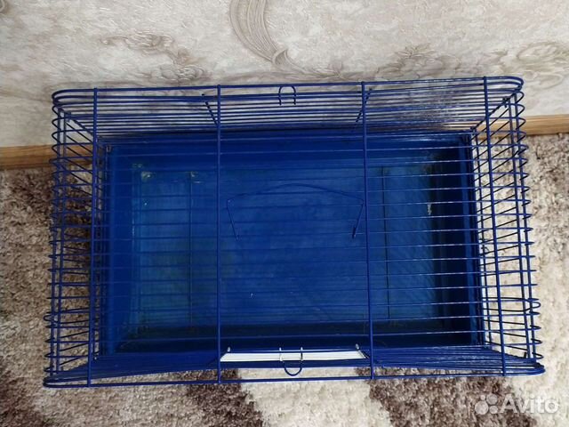 Большая клетка для морской свинки