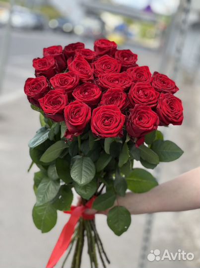 Роза 60 см