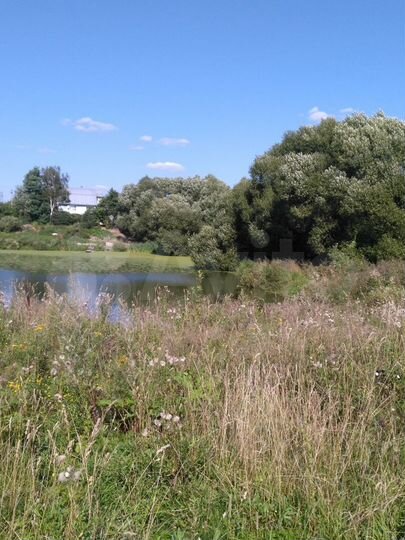 Участок 10 сот. (ИЖС)