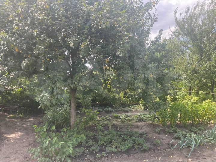 Дача 20 м² на участке 7 сот.