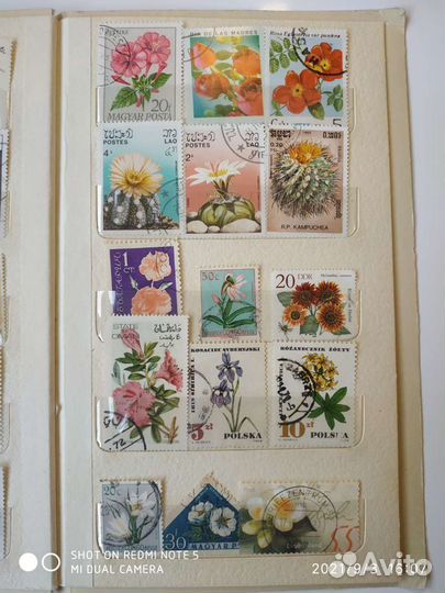 Марки - Флора - для детей