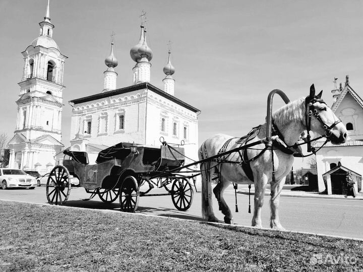 Конные прогулки по Суздалю