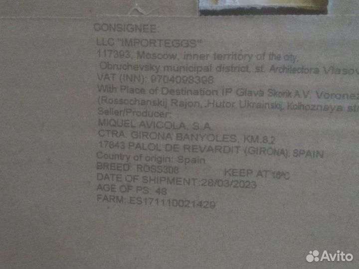 Здесь ваш бройлер