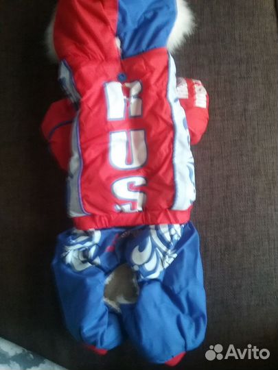 Одежда для собак