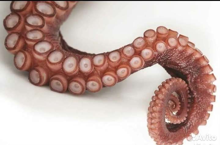 Осьминог щупальца варëно-мороженные