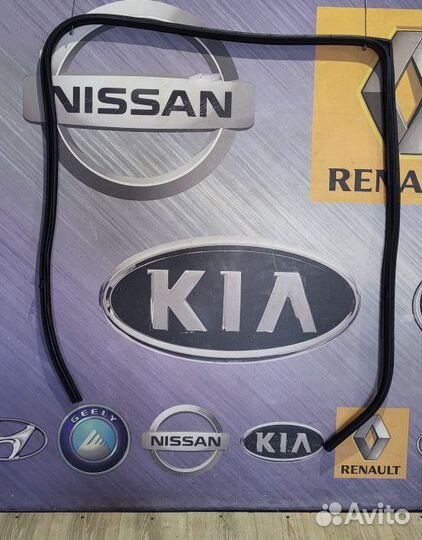 Уплотнитель зад проема двери Nissan primera P12 Ле