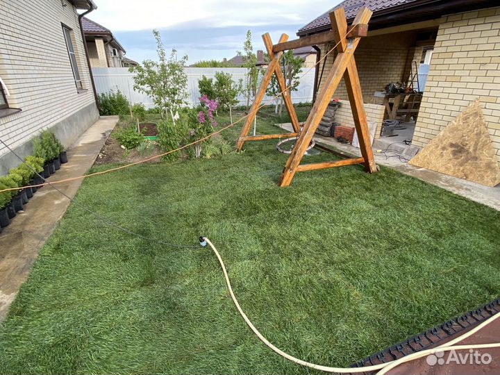 Рулонный газон премиальный (Укладка)