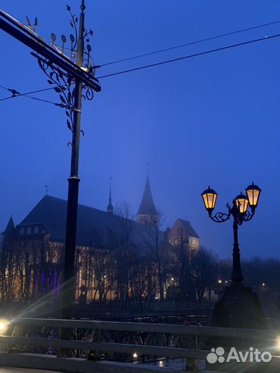 Гид по тайному Калининграду