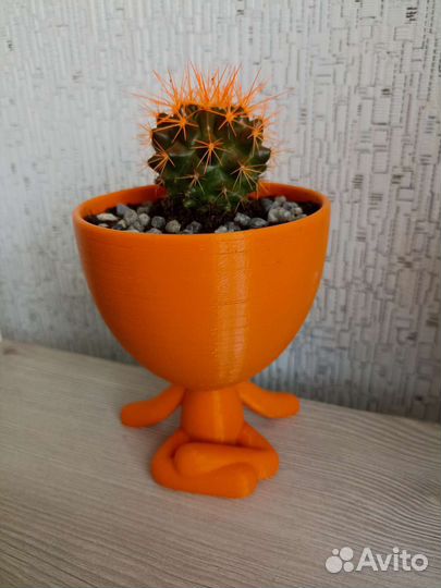 Кашпо Кактус