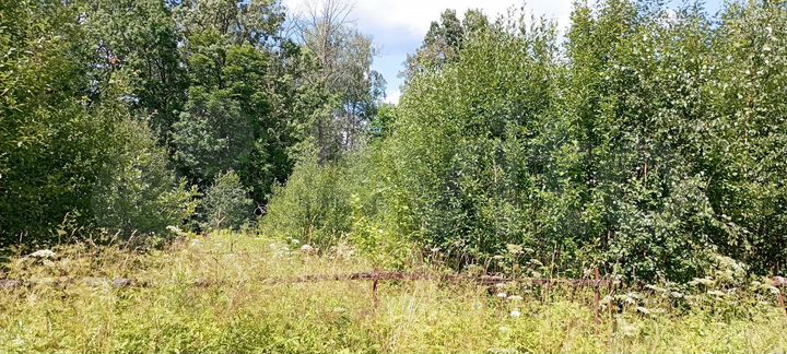 Участок 15 сот. (ИЖС)