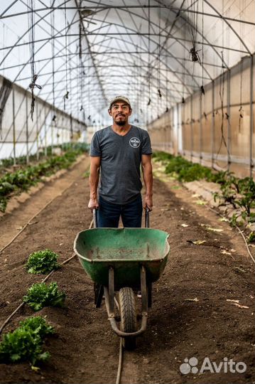 Разнорабочий. Работа с жильем 10,55310007