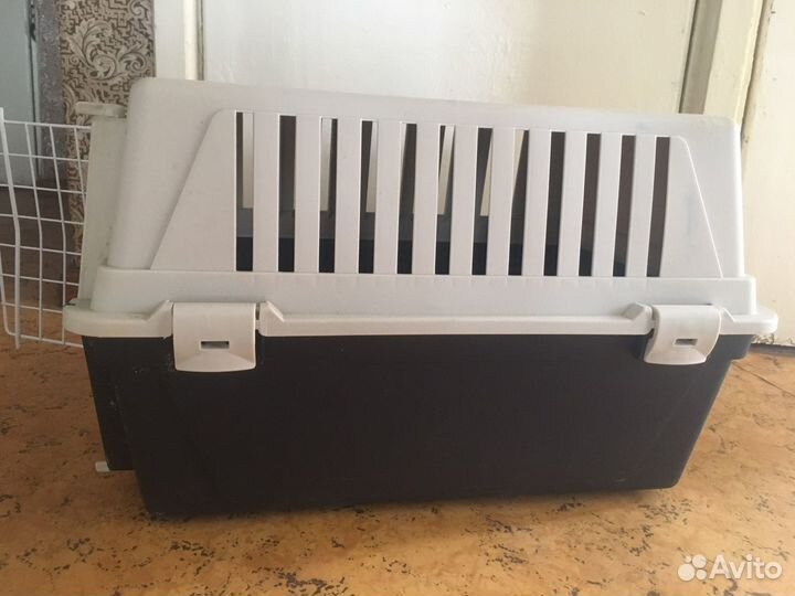 Переноска для животных в аренду
