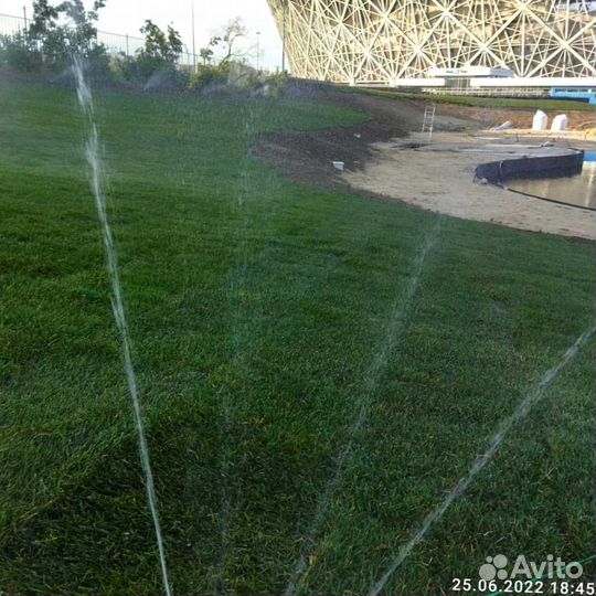 Газон. Рулонный газон