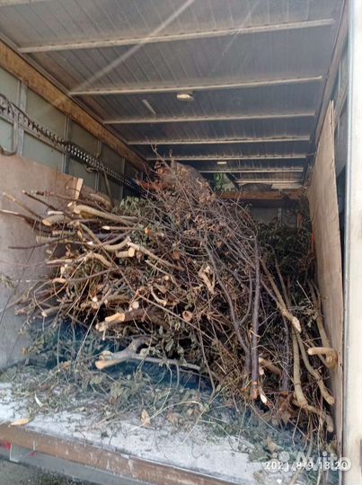 Вывоз мусора