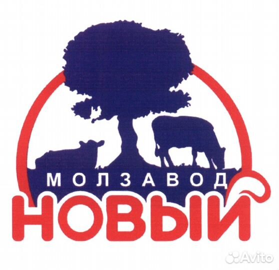 Укладчик-упаковщик молочной продукции