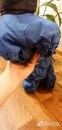 Одежда для собак