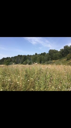 Участок 4 га (СНТ, ДНП)