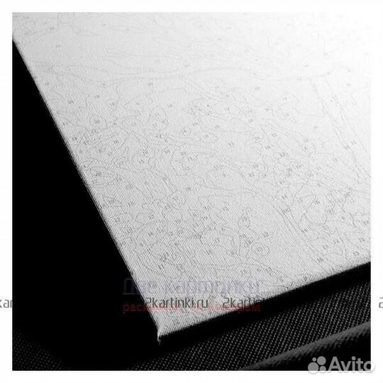 Картина по номерам 40x50 Пара красивых лошадей под