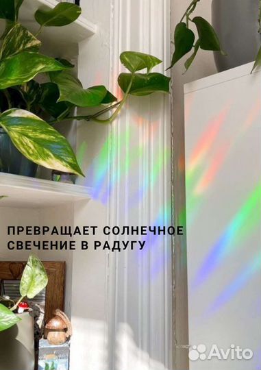 Радужная наклейка на окно Ловец солнца