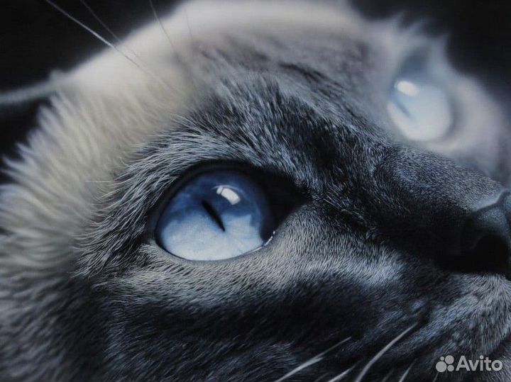 Граффити на заказ Художественное оформление стен